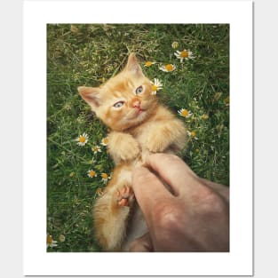 petting an orange kitten Posters and Art